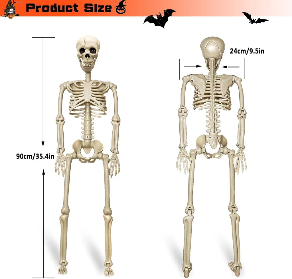 Poseable Skeleton Props, 90cm — 2 Pack